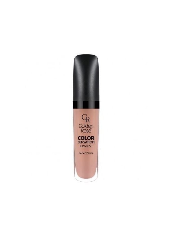 Golden Rose Color Sensation Lip gloss /107/