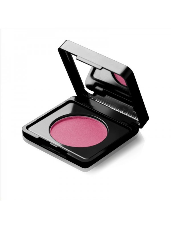 Paese Artist Blusher /61/