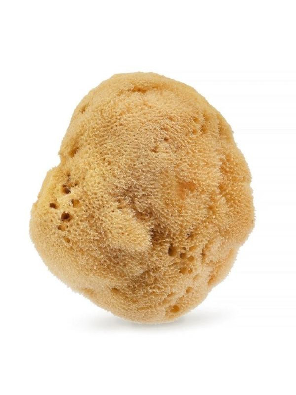 HHUUMM natural Sponge 01F Brown