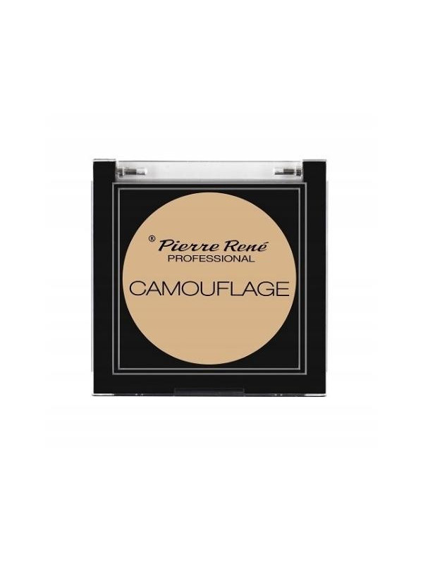 Pierre Rene Professional Camouflage Face Concealer /01/ 5 g