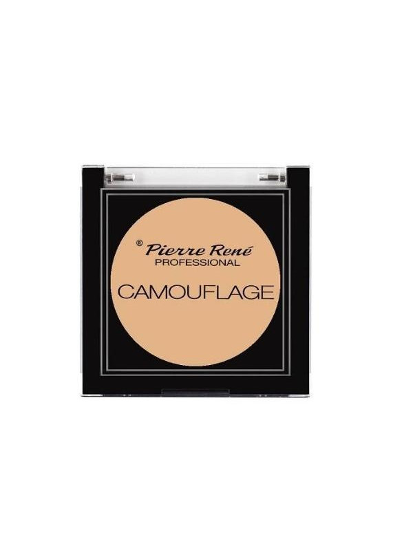 Pierre Rene Professional Camouflage Face Concealer /00/ 5 g