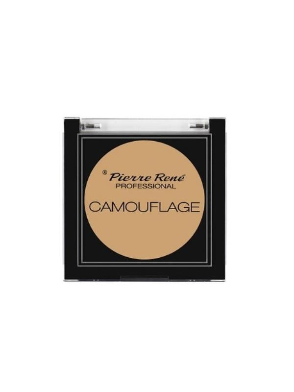 Pierre Rene Professional Camouflage Face Concealer /02/ 5 g