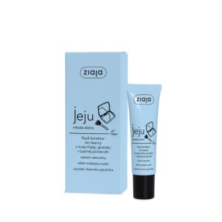 Ziaja Jeju Fluid-Face Concealer 30 ml