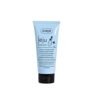 Ziaja Jeju Black Dot Paste tegen mee-eters 75 ml