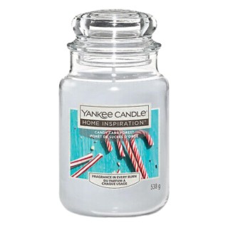 Yankee Candle Candy Cane Forest geurkaars 538 gr