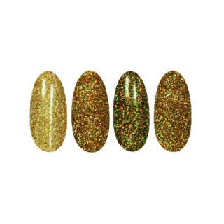 Ronney Holo Effect Nagelpulver /16/ Gold