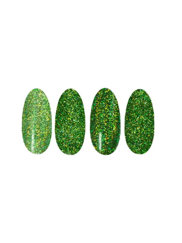 Ronney Holo Effect nail powder /27/ Light green