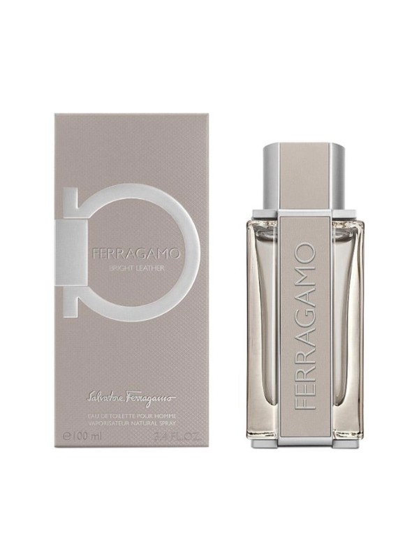 Salvatore Ferragamo Ferragamo Heldere Eau de Toilette voor Mannen 100 ml