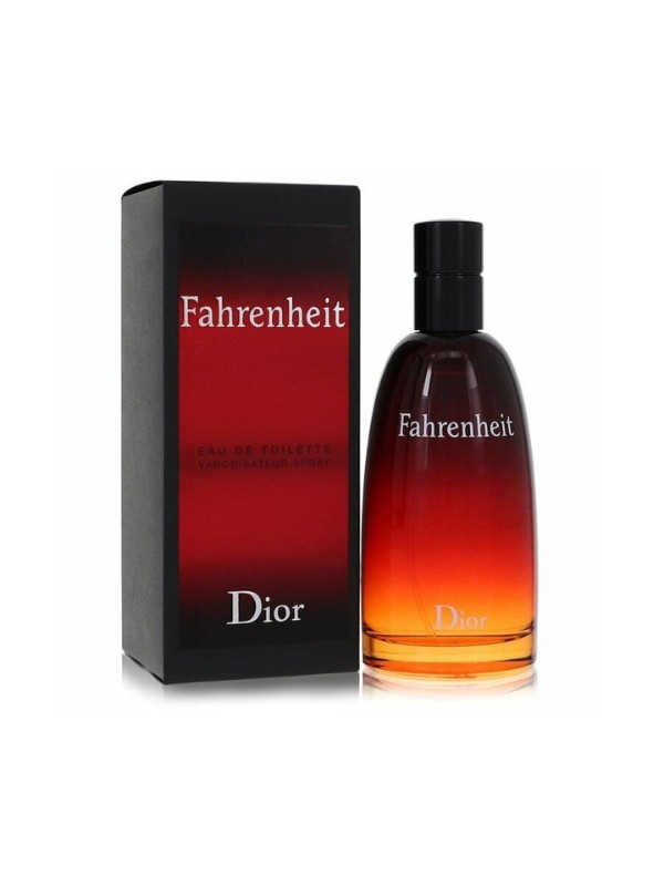 Dior Eau de Toilette für Männer Fahrenheit 100 ml