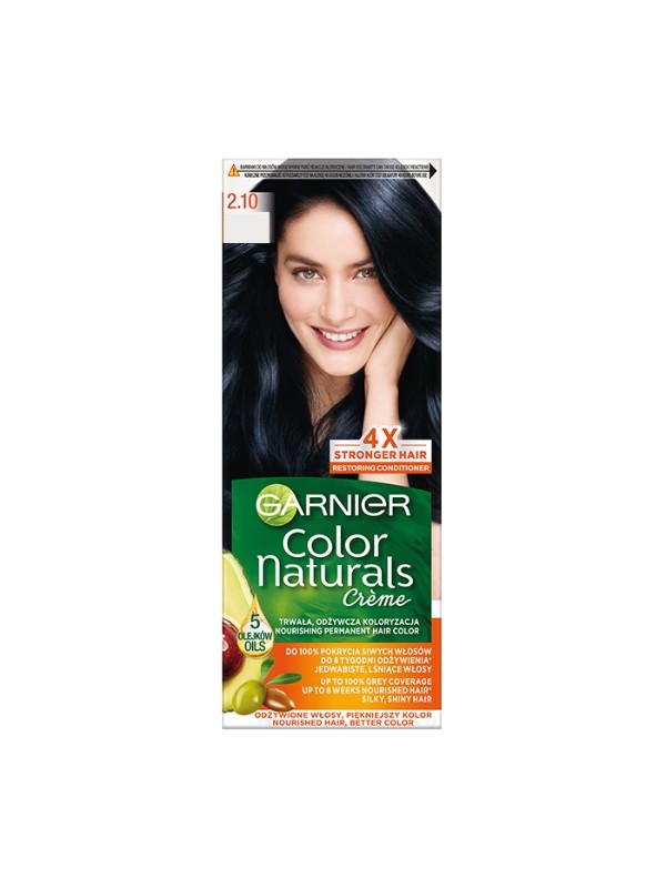 Garnier Color Naturals Haarverf /2.10/ Berry Black