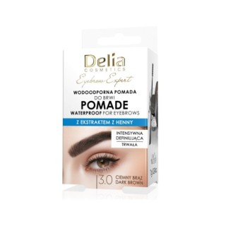 Delia Pomada do brwi /3.0/ Ciemny brąz 7 g
