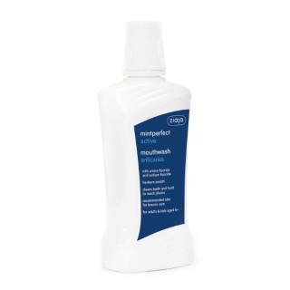 Ziaja Mintperfect Activ Anti-Karies Zahnflüssigkeit 500 ml