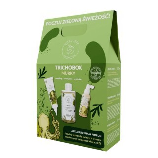 Hairy Tale Murky Trichobox Set: Peeling 150 ml + Shampoo 250 ml + Lotion 120 ml