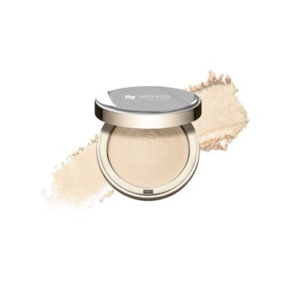 AA Wings of Color Glass Highlighter Rozświetlacz z efektem tafli /01/ Champagne Glow 8 g