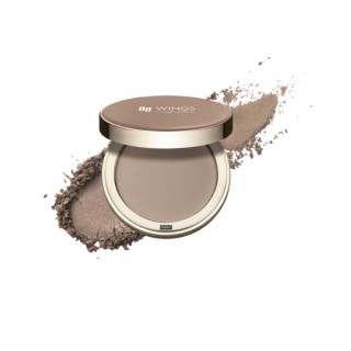 AA Wings of Color Satin Bronzer, matter Bronzer zum Konturieren /01/ Cool Bronze 8 g