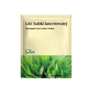 Flos Ribwort Weegbreeblad Kruiden voor Infusie 50 g